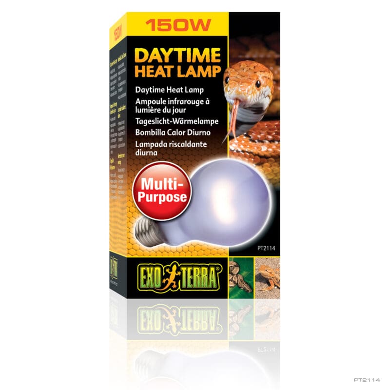 Daytime Heat Lamp 100W A19