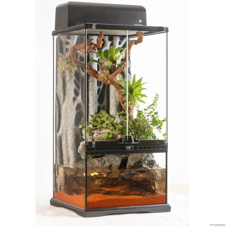 Natural Terrarium Mini X-Tall