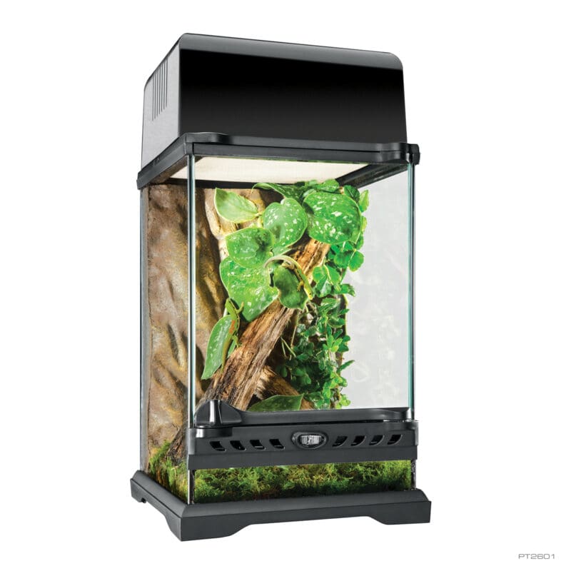 Natural Terrarium Nano Tall