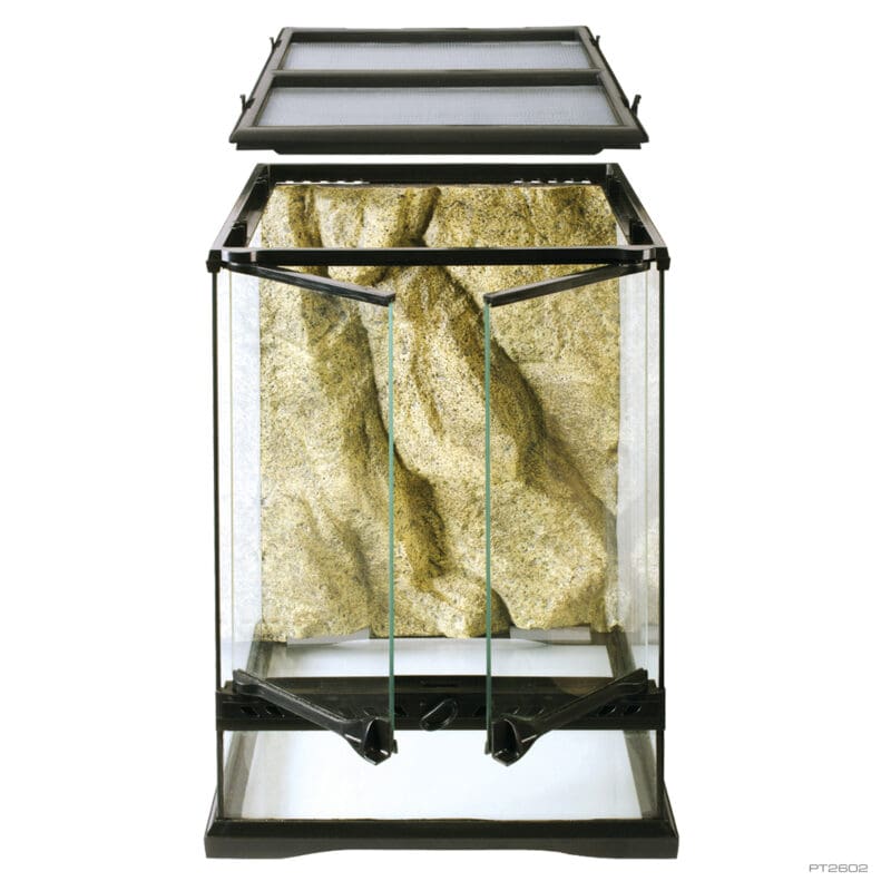 Natural Terrarium Mini Tall