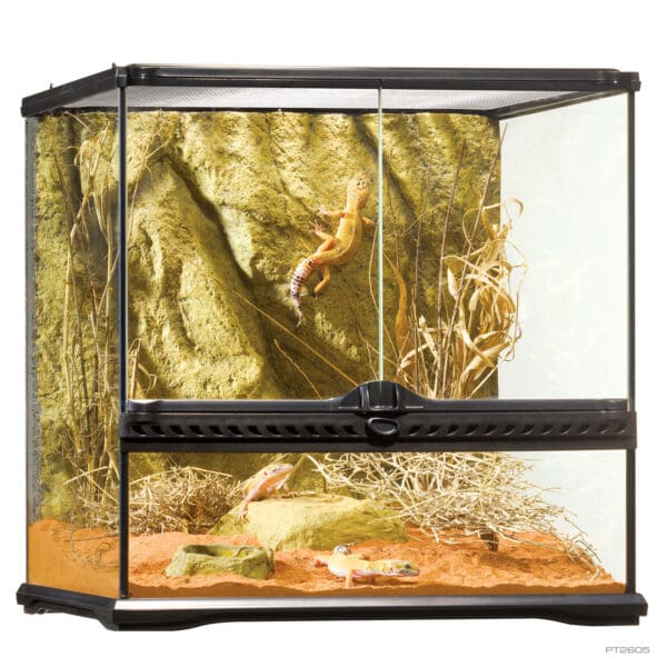 Natural Terrarium Small Wide