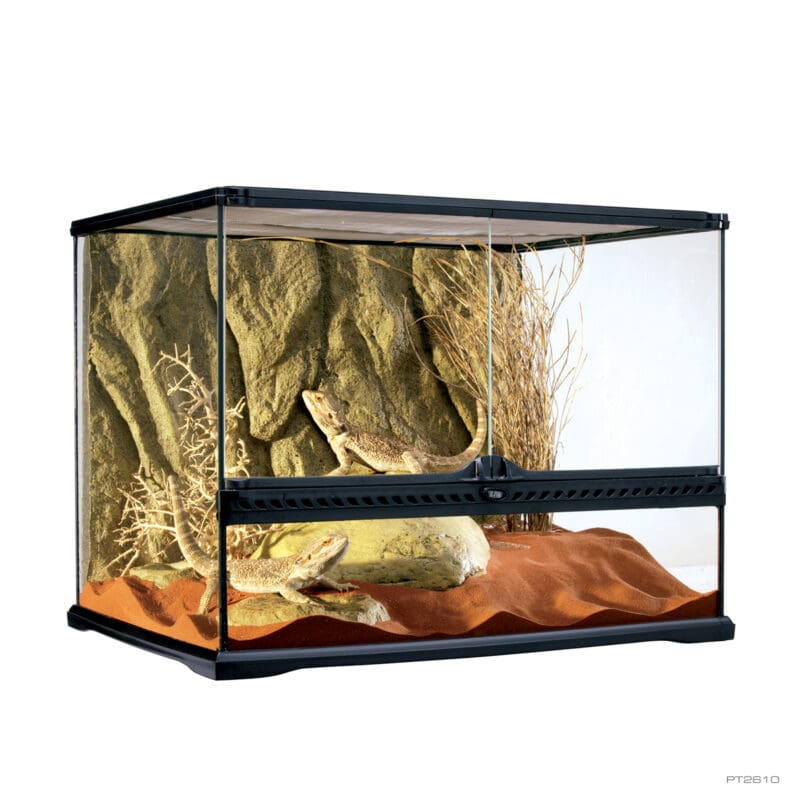 Natural Terrarium Medium Wide