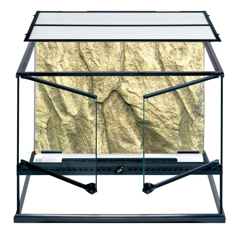 Natural Terrarium Medium Wide