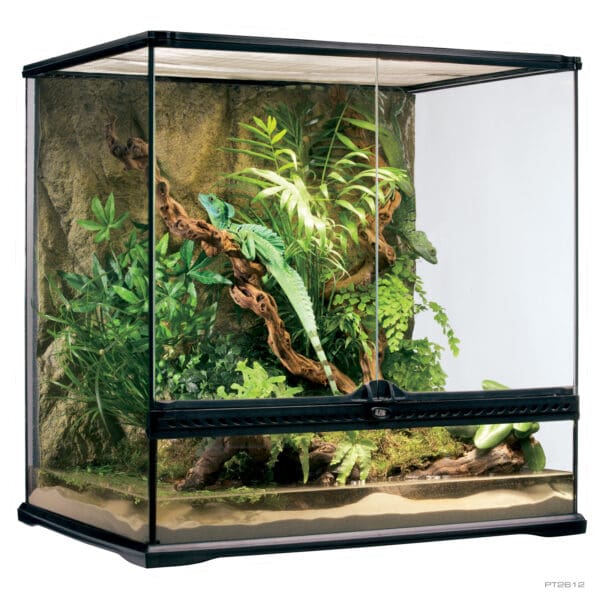 Natural Terrarium Medium Tall