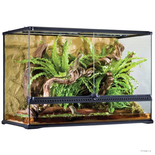 Natural Terrarium Large Tall