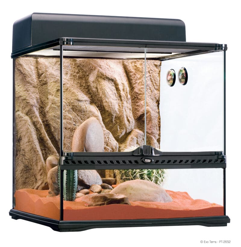 Habitat Kit Desert Medium