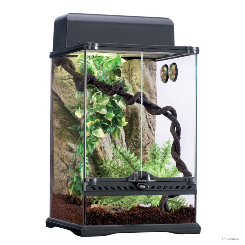 Habitat Kit Rainforest Small