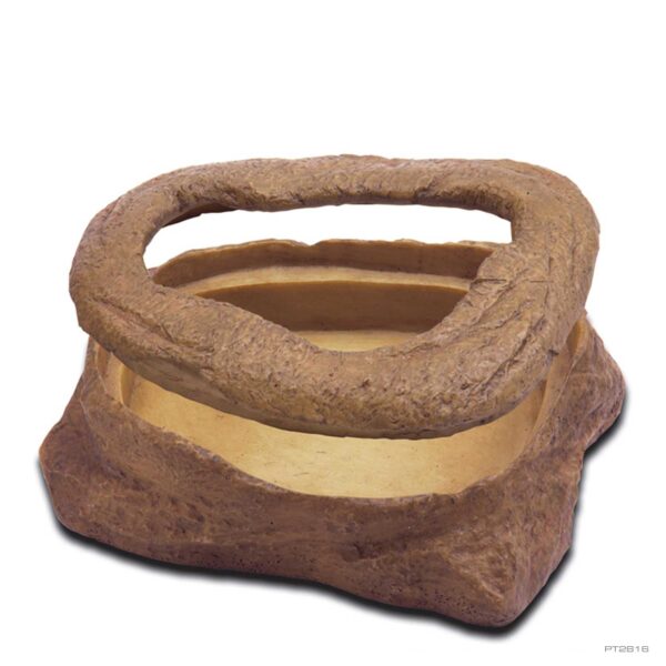 Meal Worm Dish