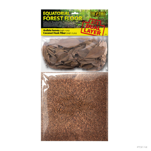 Equatorial Forest Floor 4QT - 4