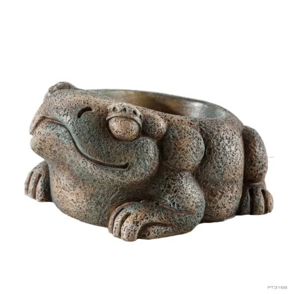 Aztec Frog