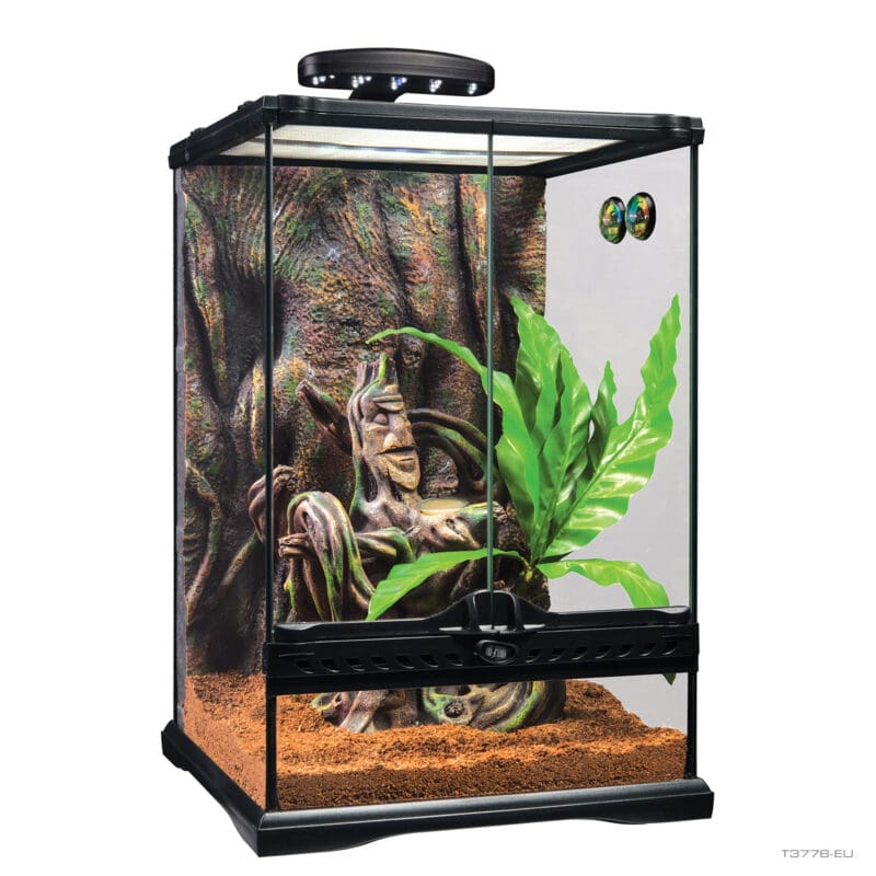 Crested Gecko Terrarium Small