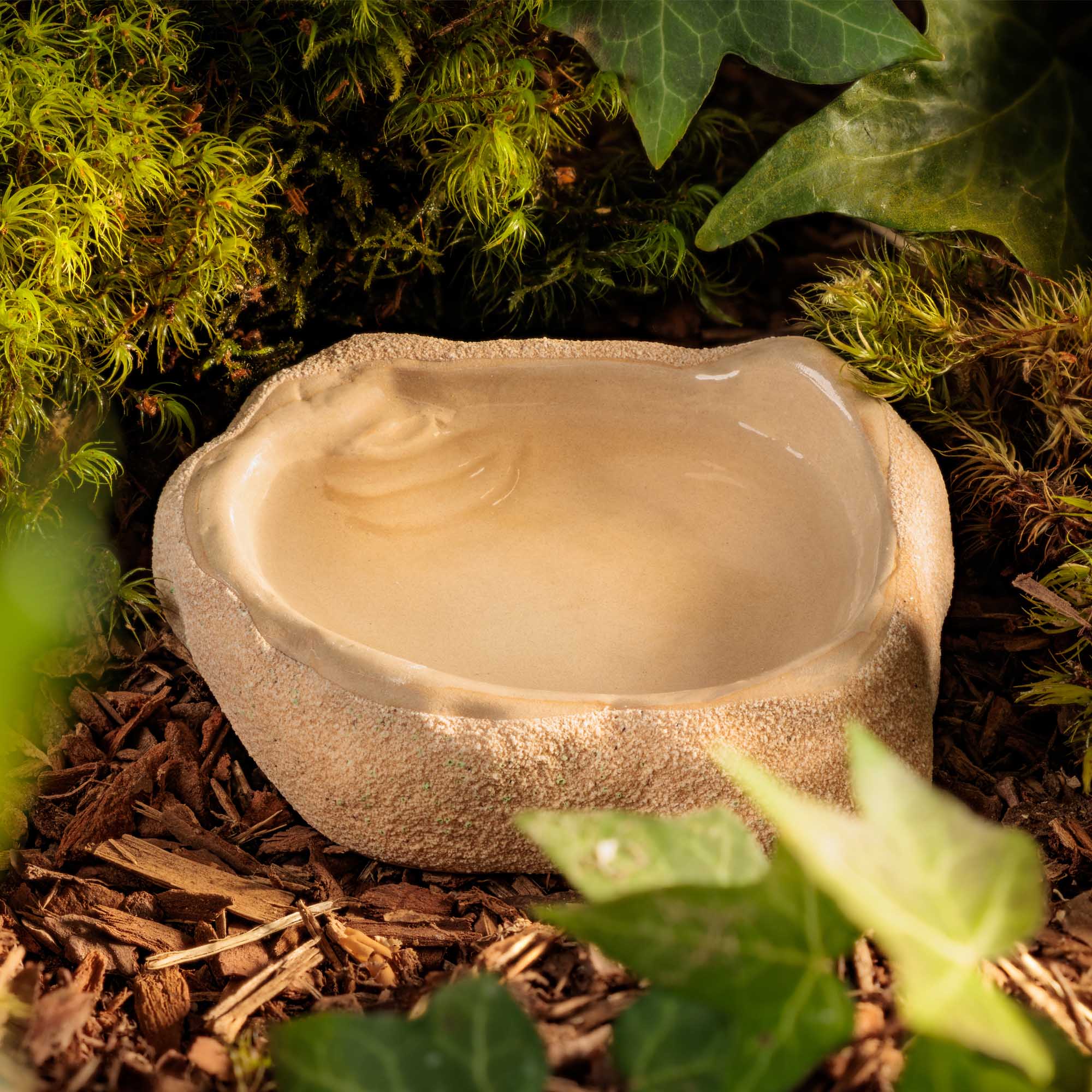 Terrarium Dish Small – Bild 6