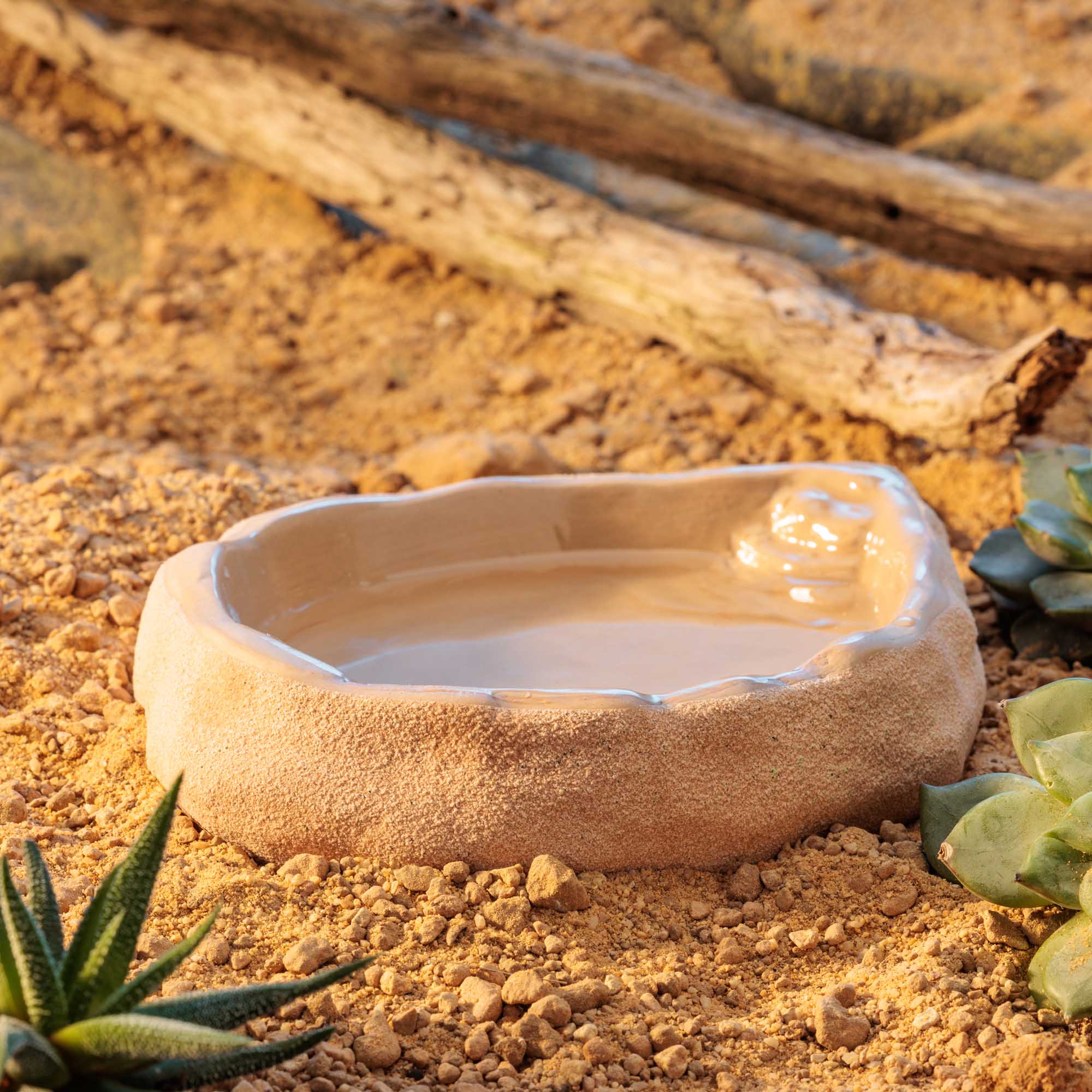 Terrarium Dish Large – Bild 5