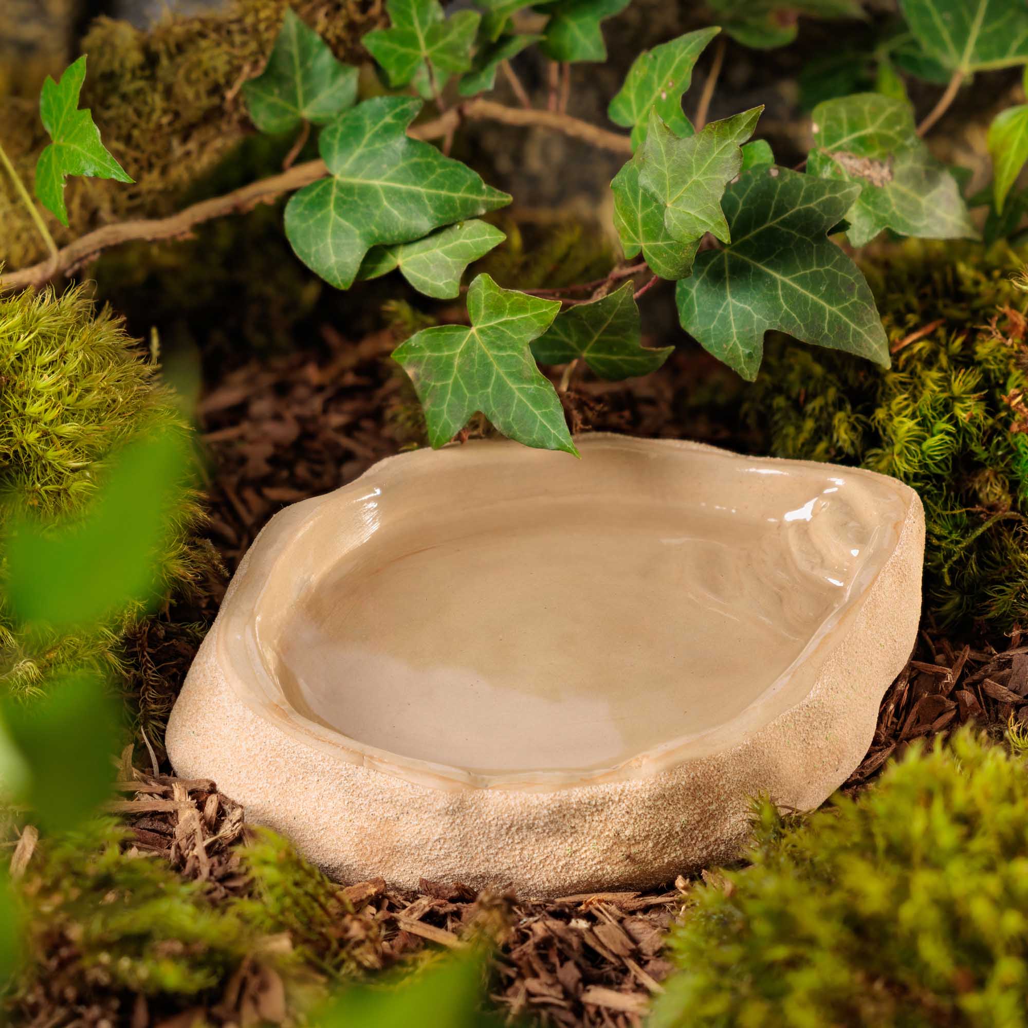 Terrarium Dish Large – Bild 6