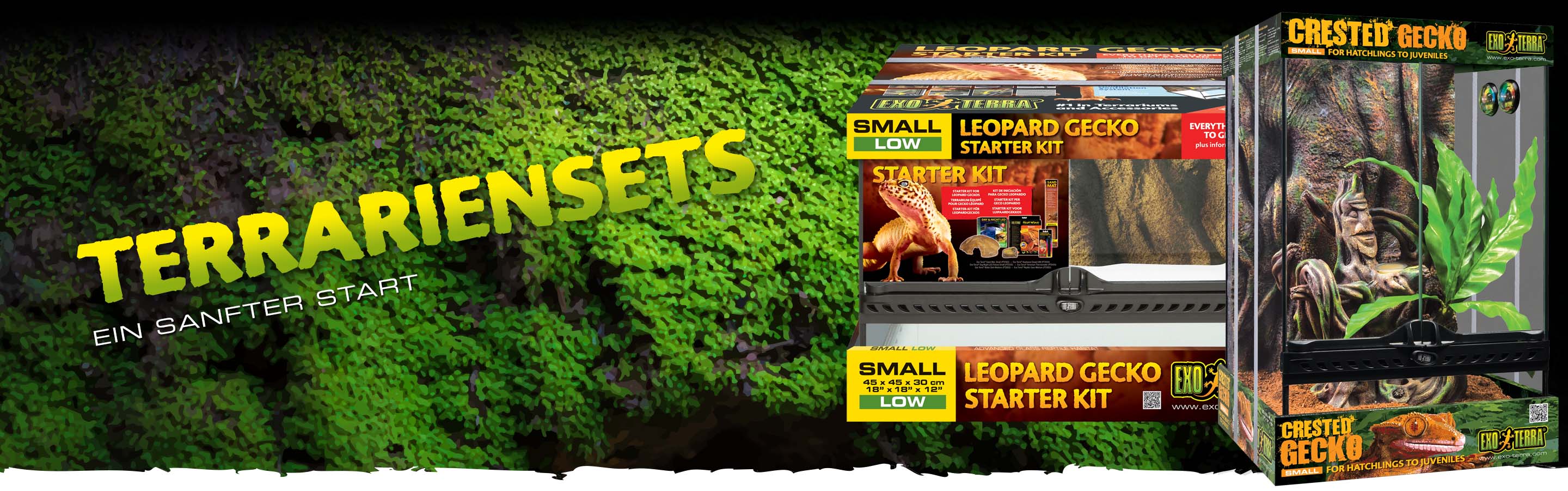 Terrarium Kits Header