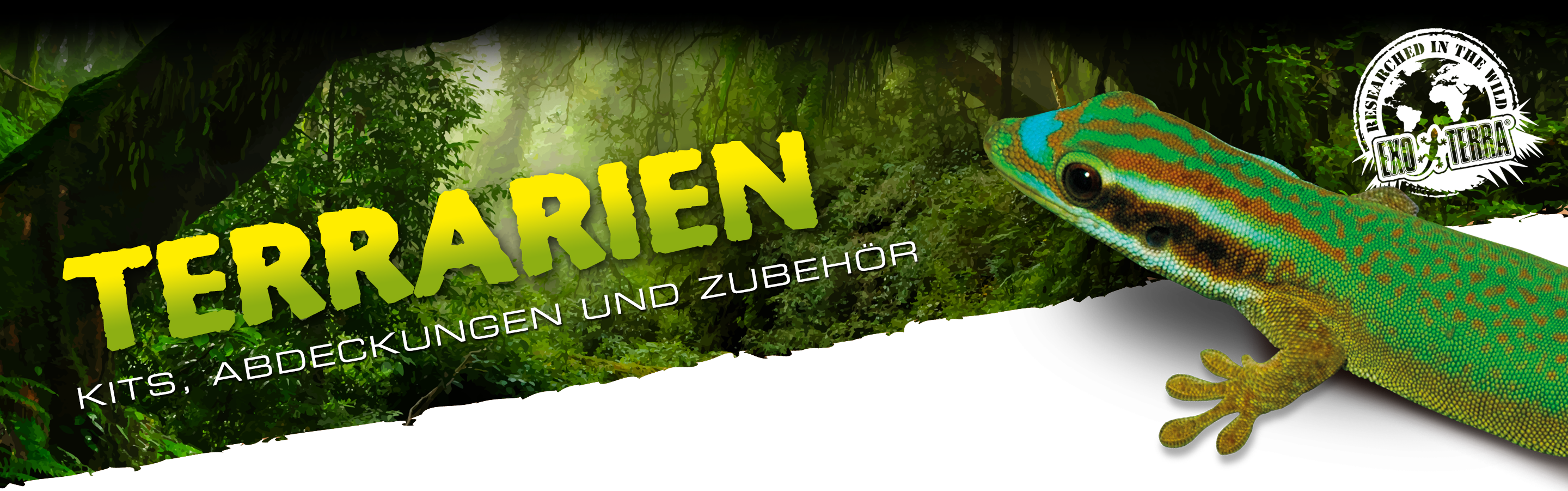 Terrarien