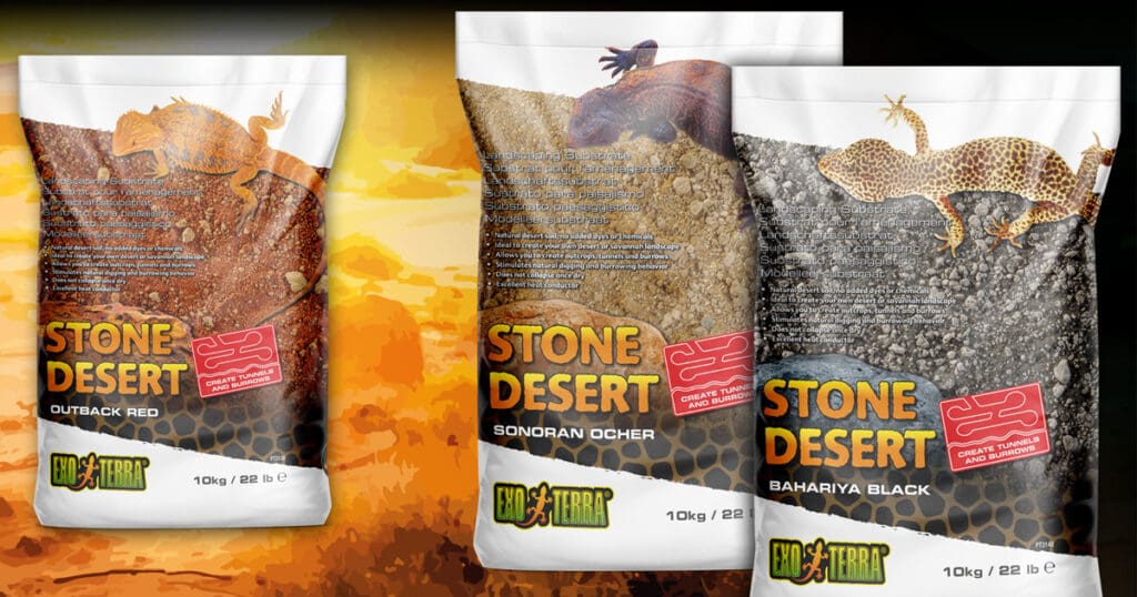 Stone Desert