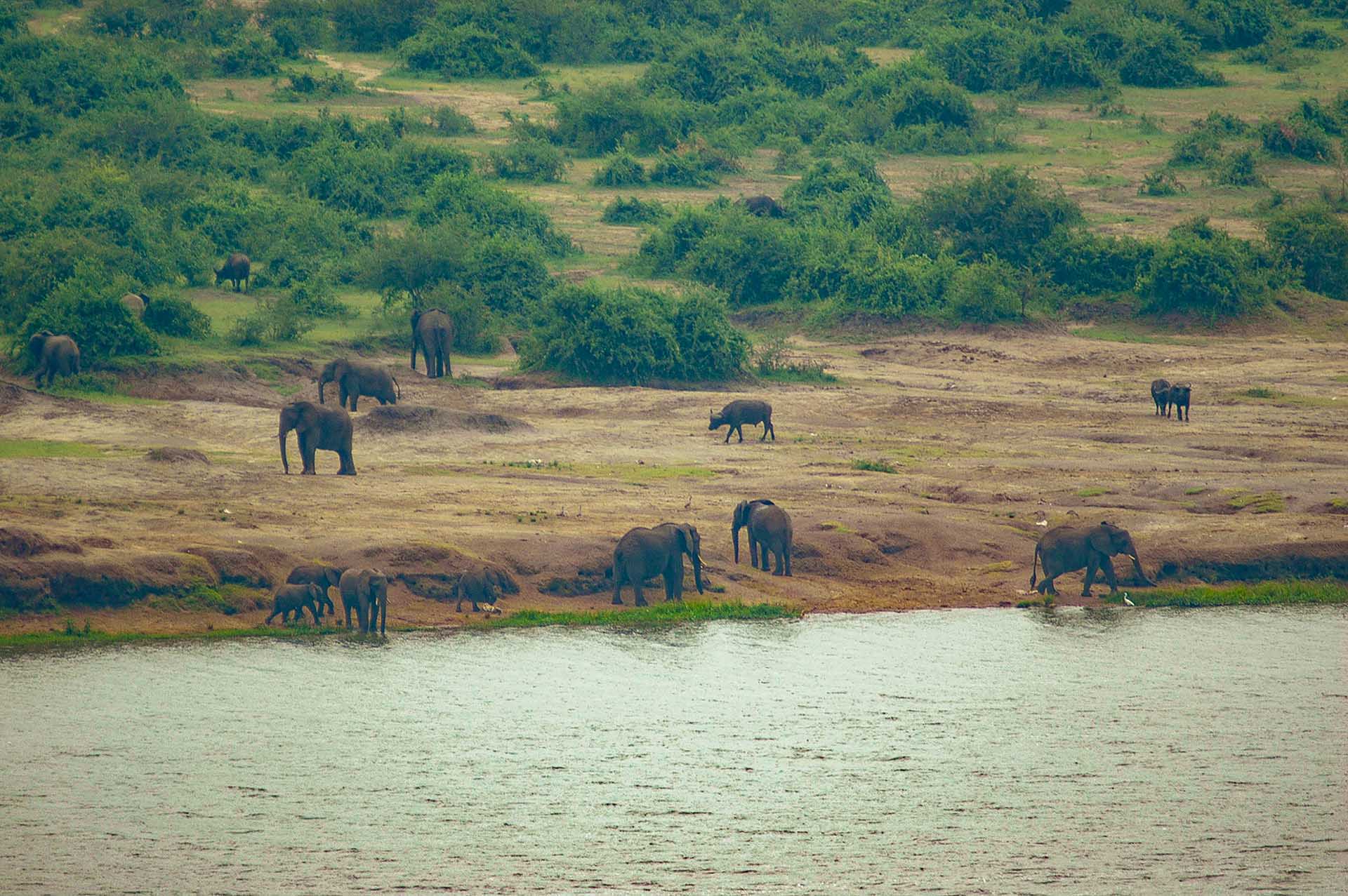 Unsere Reise durch den Queen-Elizabeth-Nationalpark