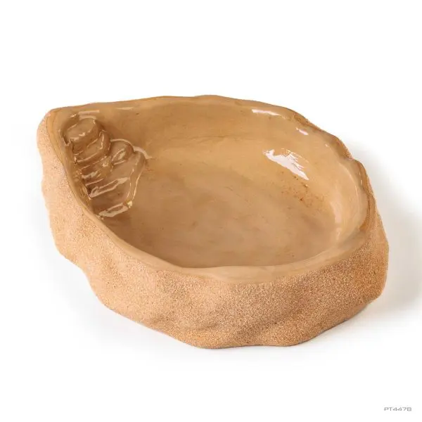 Terrarium Dish Large