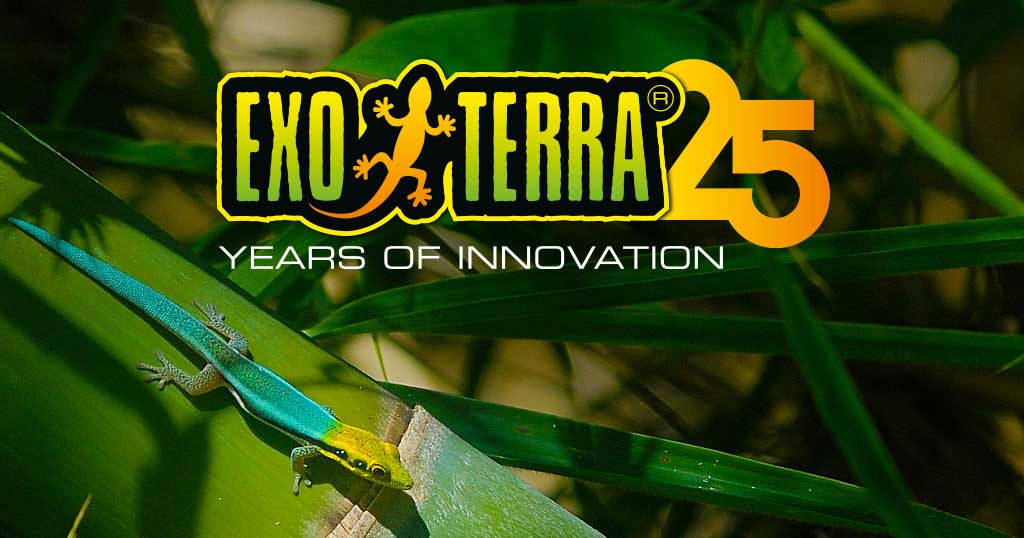 25 A&ntilde;os De Innovaci&oacute;n