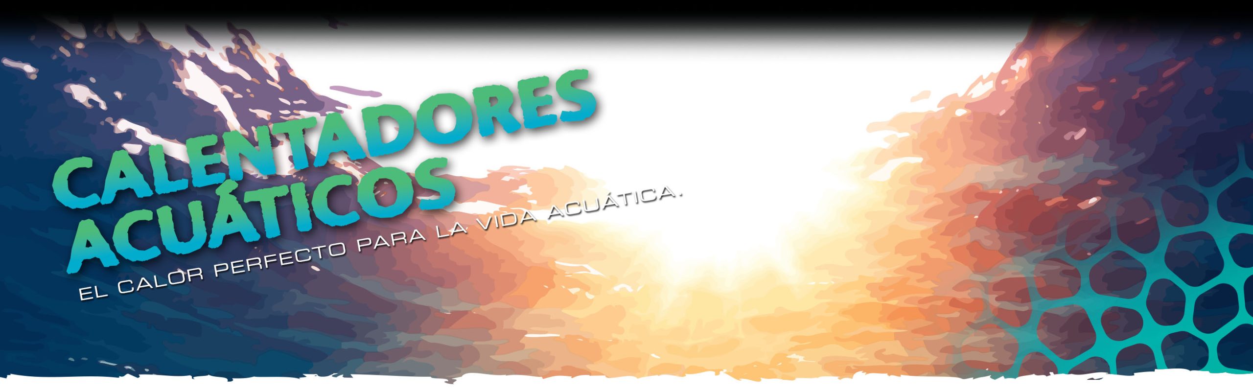 Calentadores Acu&aacute;ticos