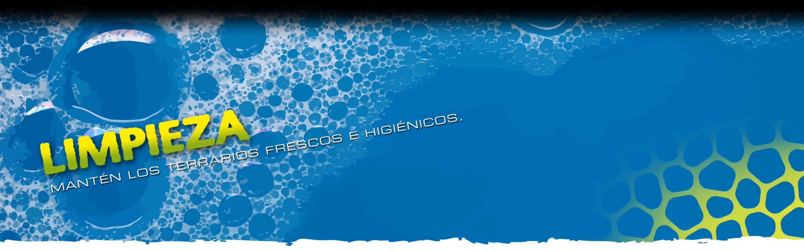 Cleaners Header