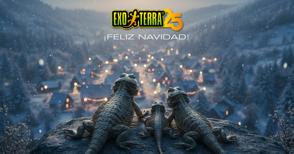 &iexcl;Feliz Navidad!