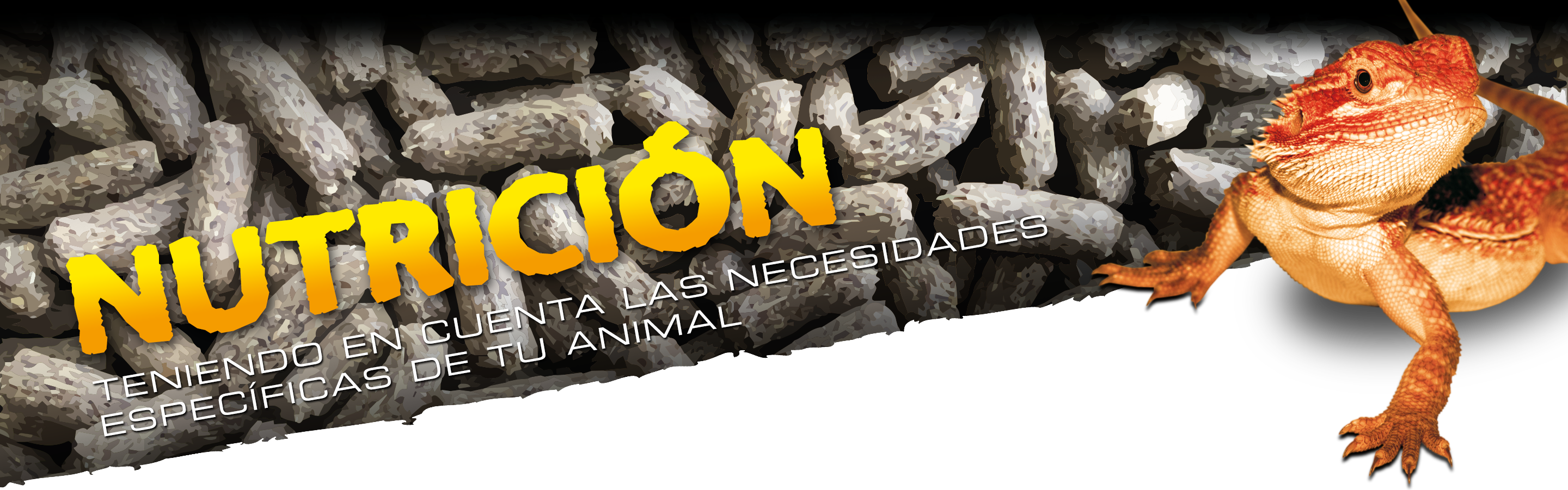 Nutrición