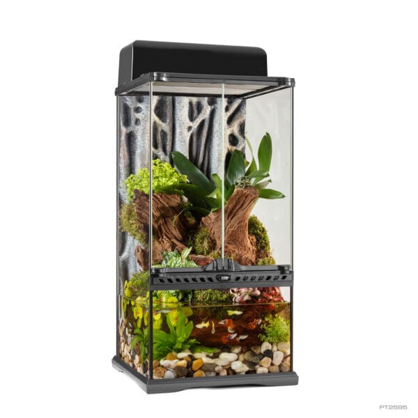 Natural Terrarium Mini X-Tall