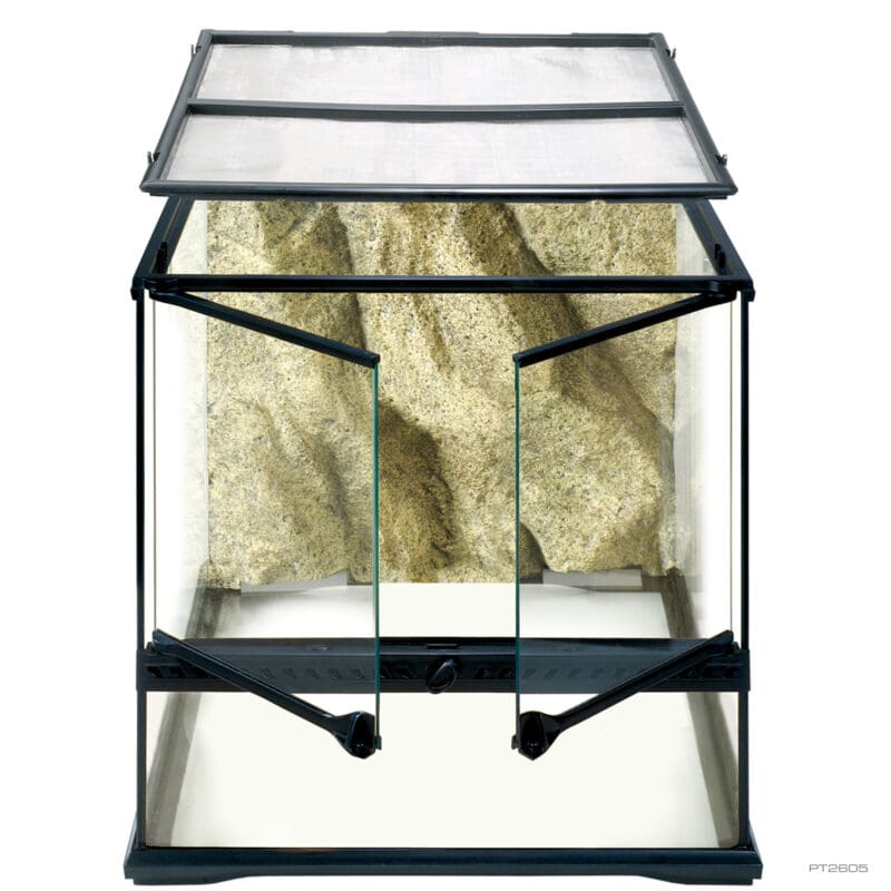 Natural Terrarium Small Wide