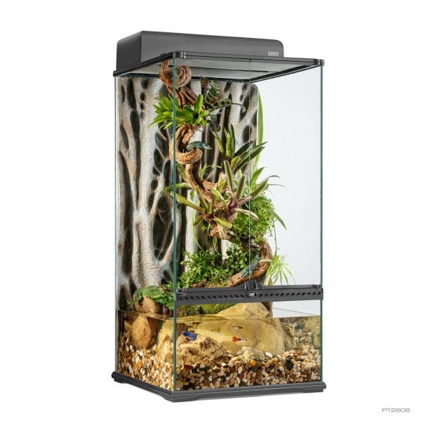 Natural Terrarium Small X-Tall