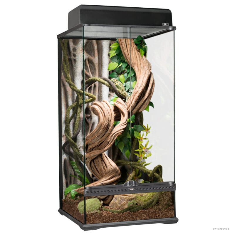 Natural Terrarium Small X-Tall