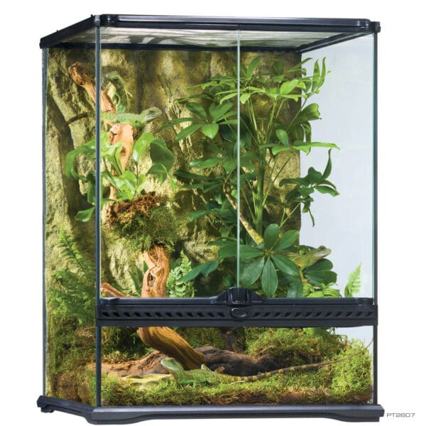 Natural Terrarium Small Tall