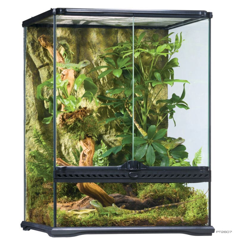 Natural Terrarium Small Tall