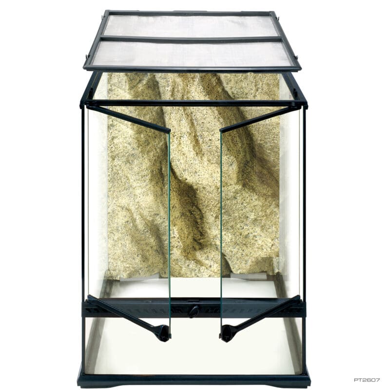 Natural Terrarium Small Tall