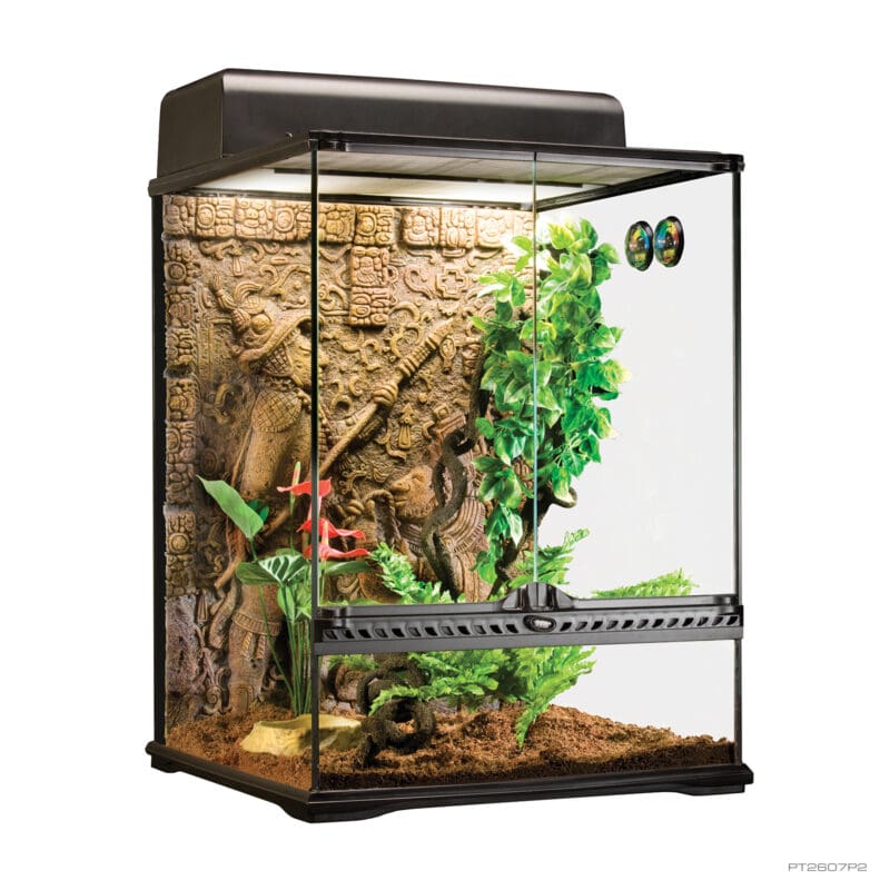 Natural Terrarium Small Tall