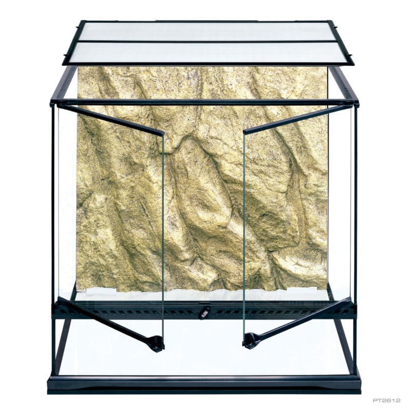 Natural Terrarium Medium Tall