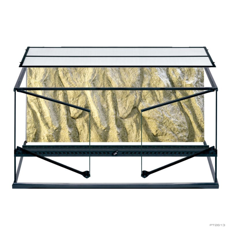 Natural Terrarium Large Wide