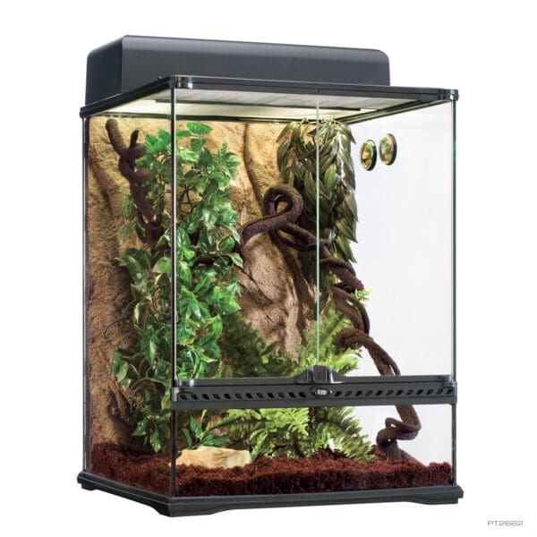 Habitat Kit Rainforest Medium