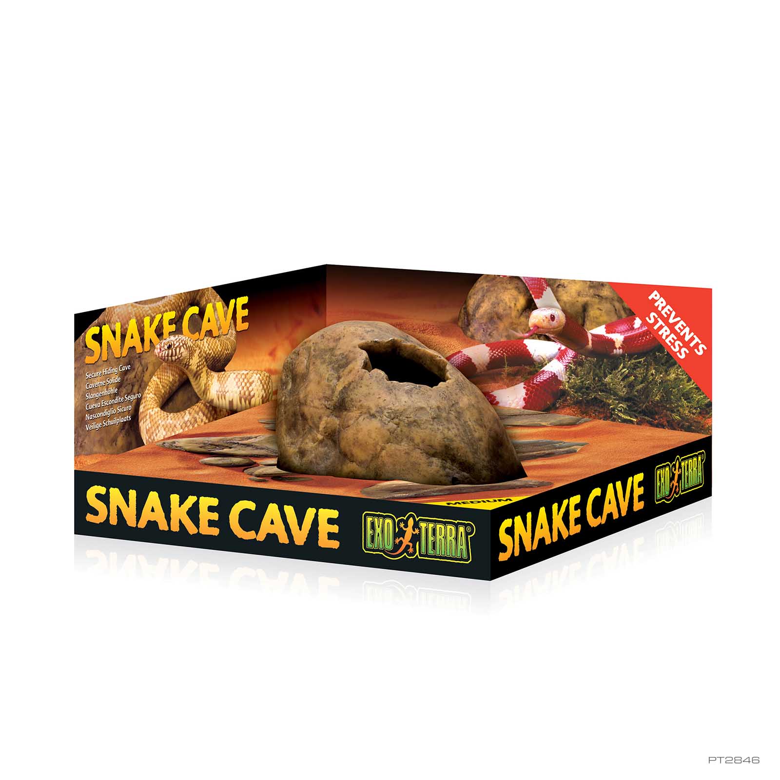 Snake Cave Medium