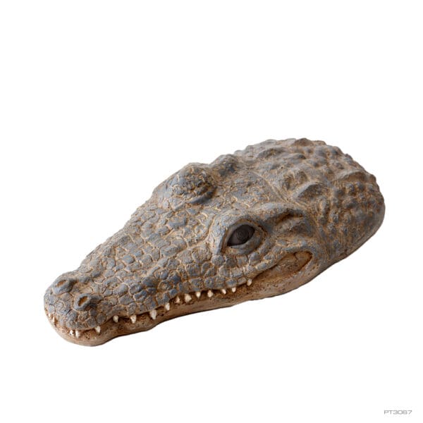 Croc