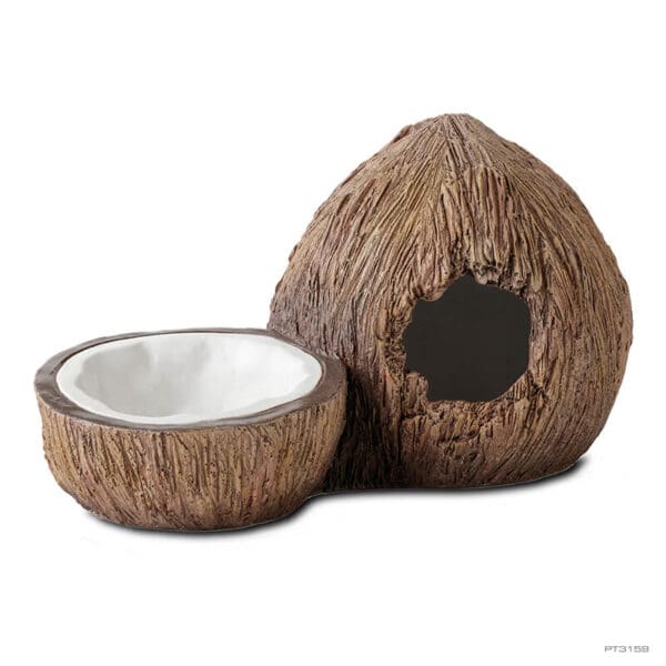 Coconut Hide