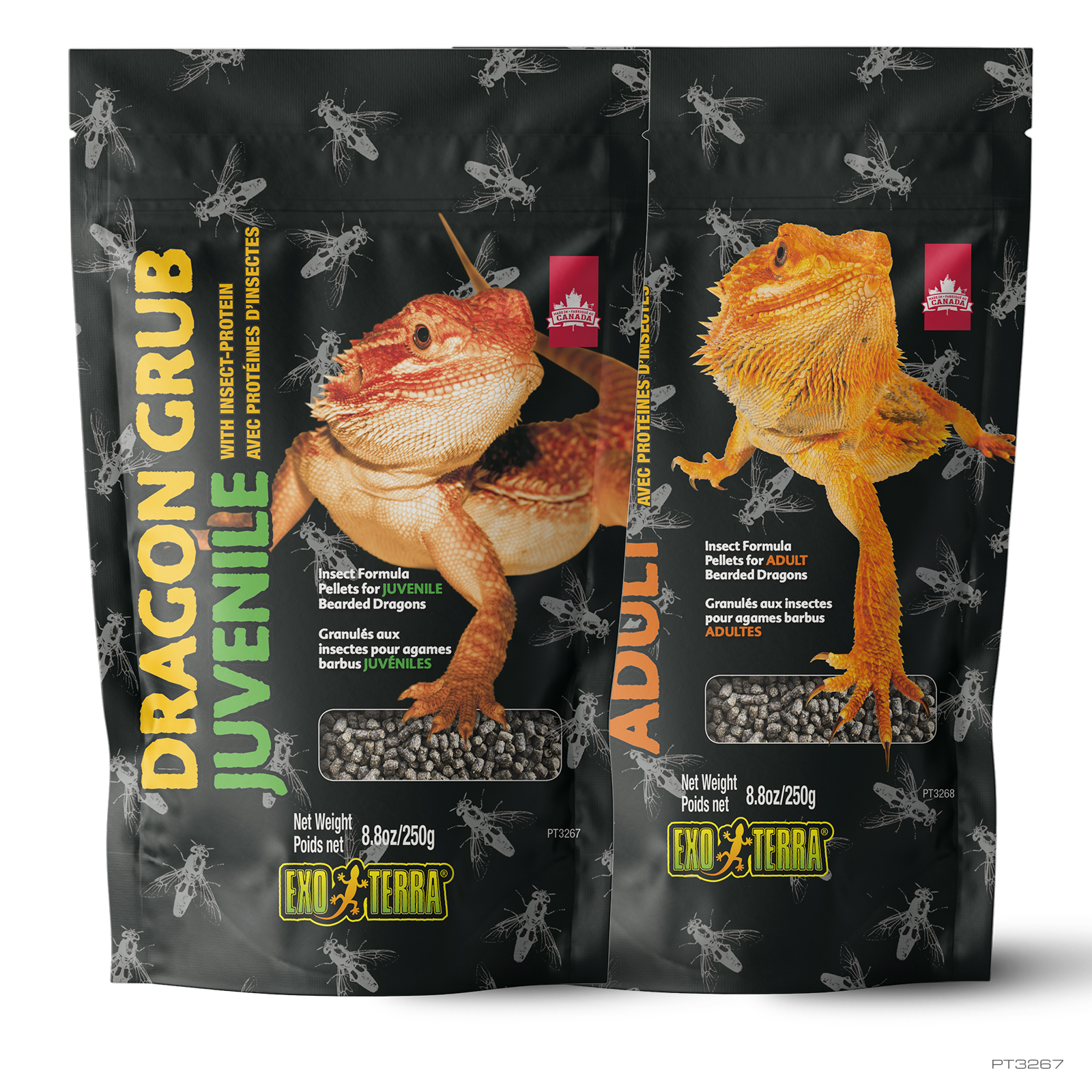 Dragon Grub Juvenile 8.8 oz - 250 g