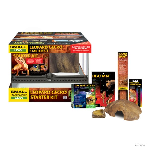 Leopard Gecko Starter Kit