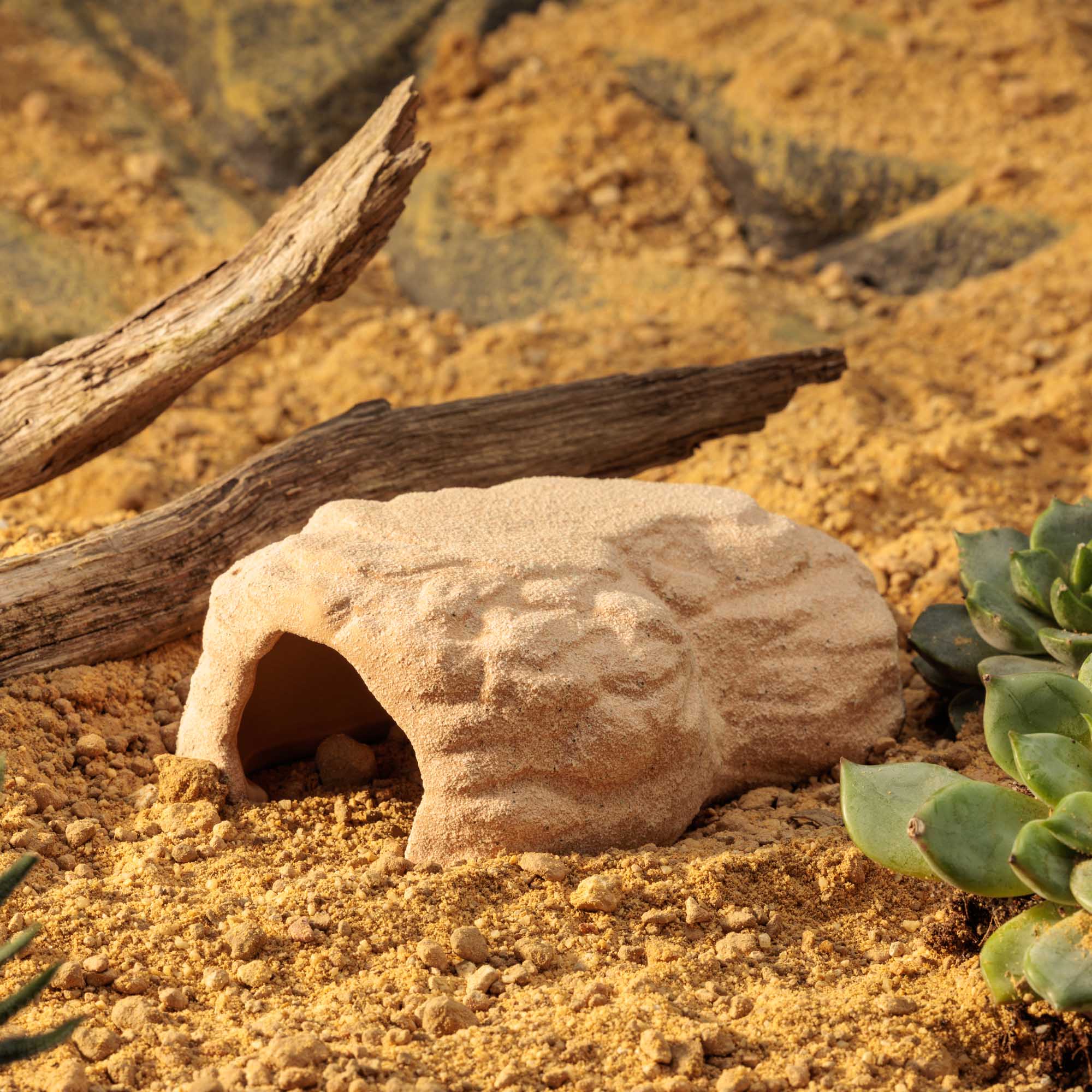 Terrarium Den Small - Imagen 6