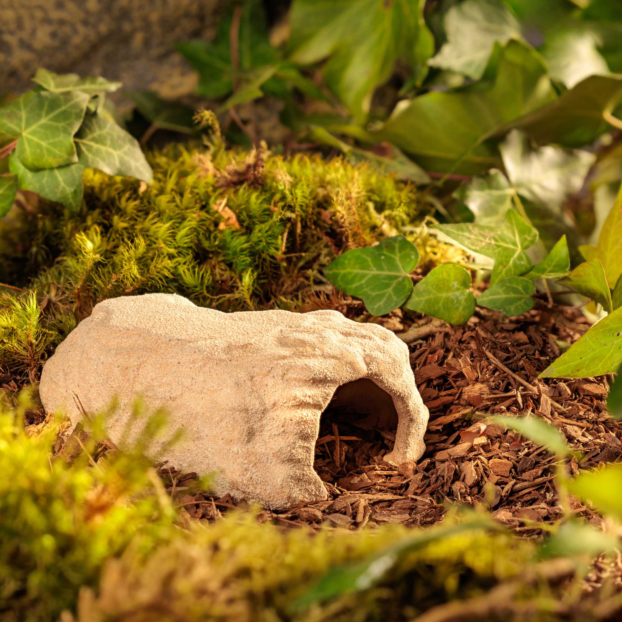 Terrarium Den Small - Imagen 7