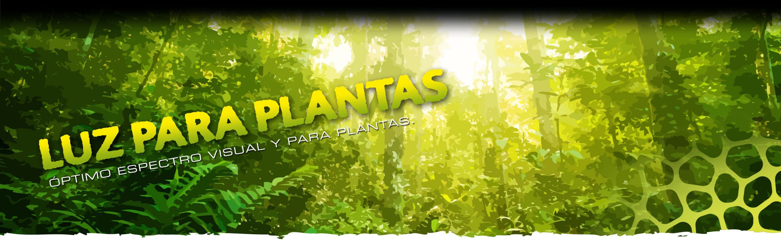 Plant Lamps Header
