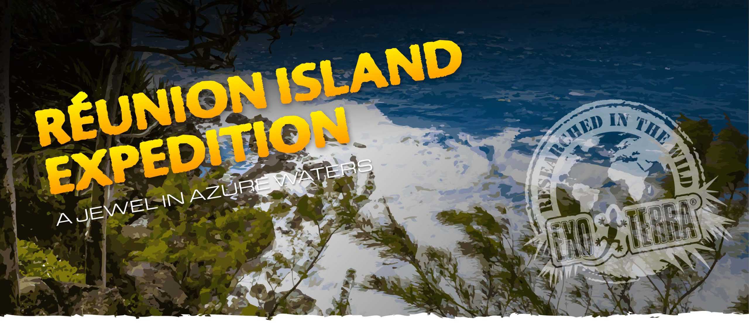Isla De Reuni&oacute;n