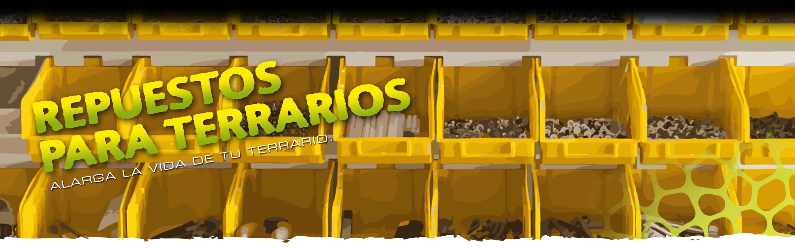 Natural Terrariums Header