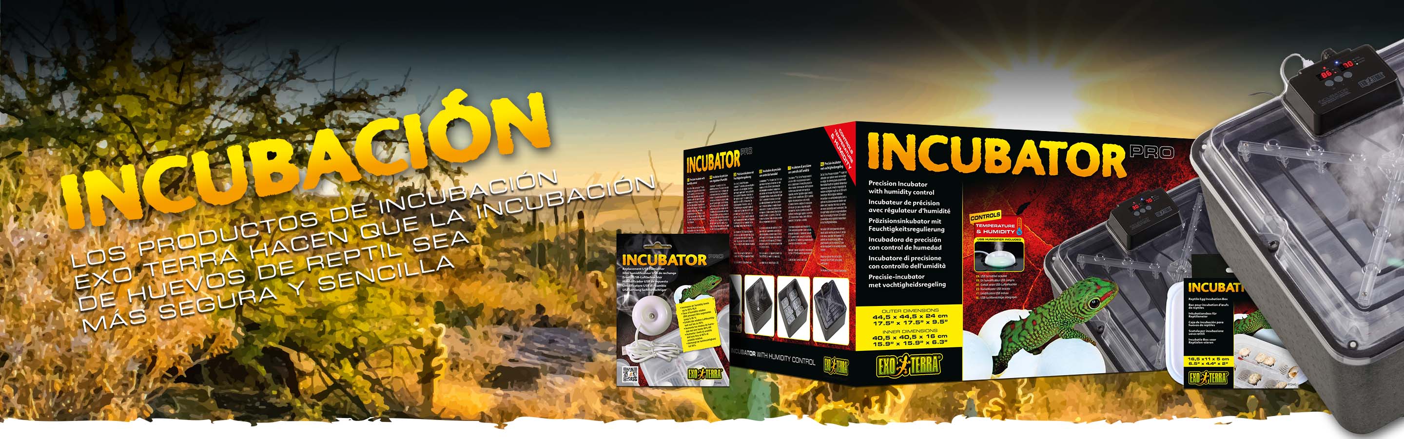 Incubation Header